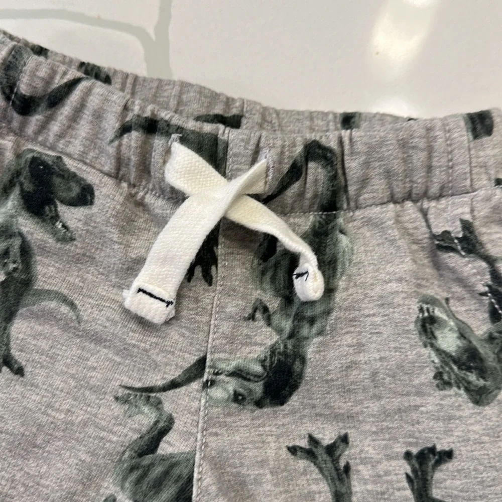 Carter’s gray t-Rex dinosaur jogger sweatpants size 12 months 🦖